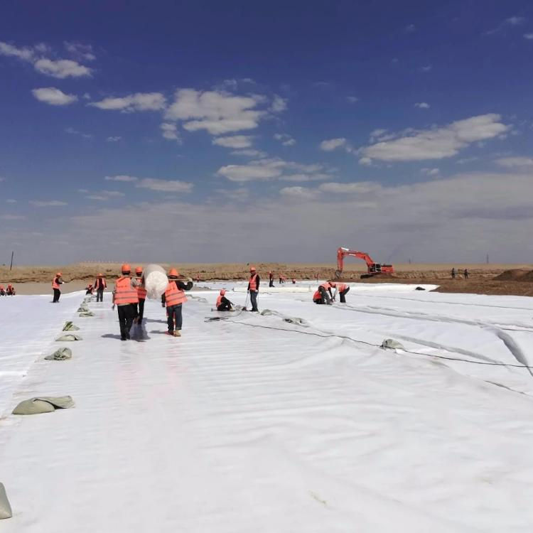 Factory Supply Non-woven Geotextile Nonwoven Geotextile