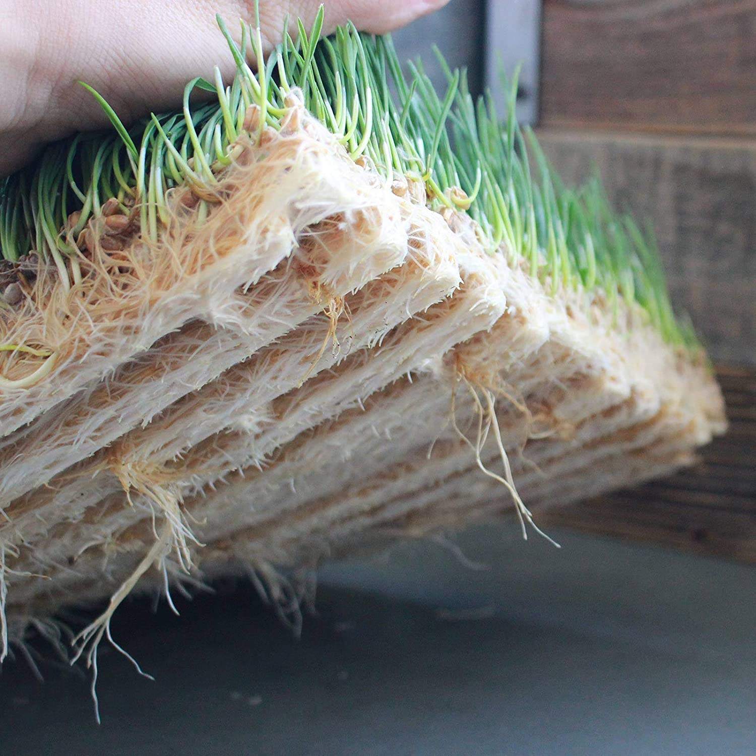 UV Resistant Jute Ground Cover Breathable for Rooftop Farms Lightweight Drainage