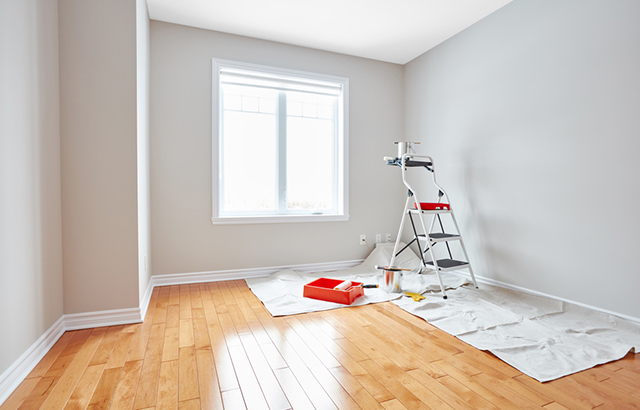 Painting and Renovation Projects