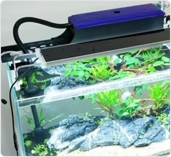 Filter box filtration