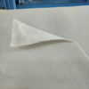 2025 China Manufacturer Geotextile Needle Punched Non Woven Geotextile
