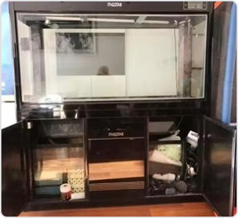 Fish tank bottom filtration