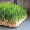 UV Resistant Jute Ground Cover Breathable for Rooftop Farms Lightweight Drainage