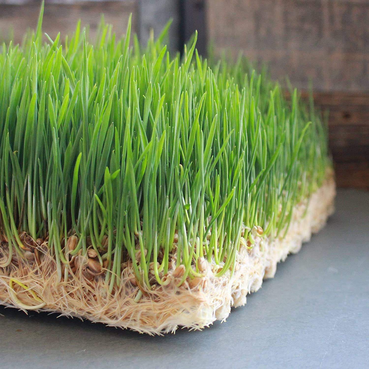 UV Resistant Jute Ground Cover Breathable for Rooftop Farms Lightweight Drainage
