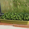 UV Resistant Jute Ground Cover Breathable for Rooftop Farms Lightweight Drainage