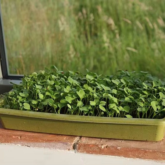UV Resistant Jute Ground Cover Breathable for Rooftop Farms Lightweight Drainage