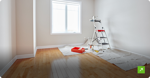 Painting and Renovation Projects